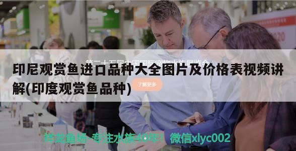印尼觀賞魚進(jìn)口品種大全圖片及價(jià)格表視頻講解(印度觀賞魚品種)