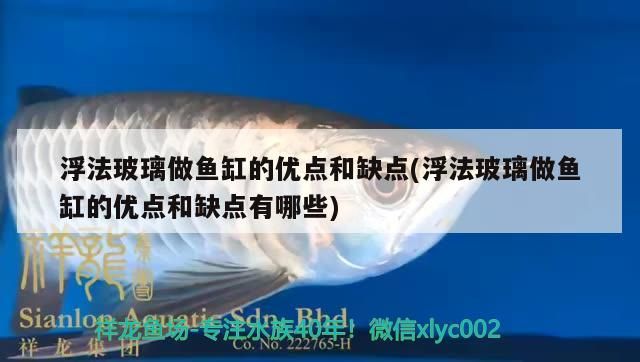 浮法玻璃做魚缸的優(yōu)點和缺點(浮法玻璃做魚缸的優(yōu)點和缺點有哪些)
