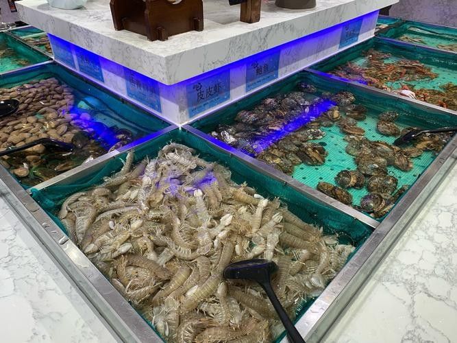 哪家龍魚店口碑最好（北京哪家龍魚店口碑最好）