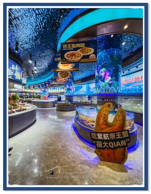 哪家龍魚店口碑最好（北京哪家龍魚店口碑最好）
