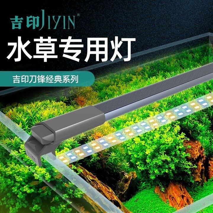 馬印神燈和吉印燈哪個更好（馬印神燈和吉印燈哪個好）