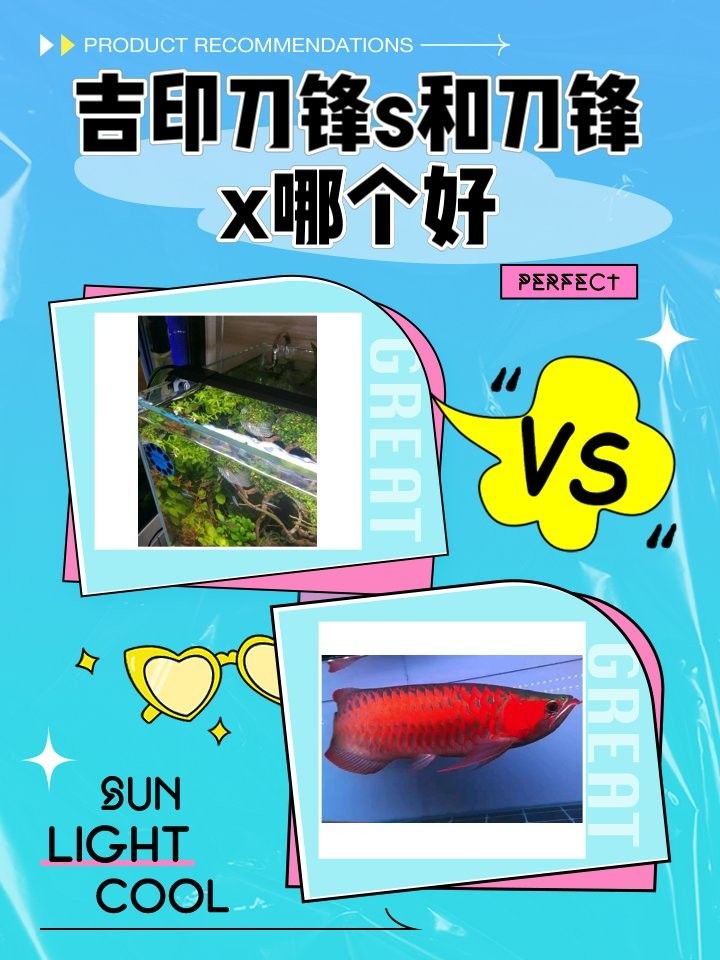 馬印神燈和吉印燈哪個更好（馬印神燈和吉印燈哪個好）