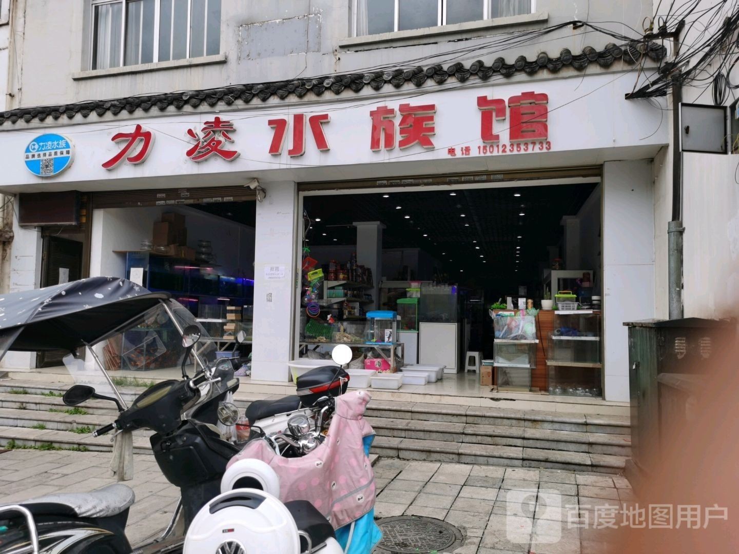 筠連哪個(gè)水族館龍魚好？祥龍魚場(chǎng)龍魚（天津水族批發(fā)市場(chǎng)|祥龍魚場(chǎng)聊城水族館）