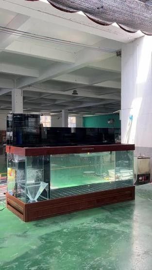 博士龍魚(yú)缸有哪些獨(dú)特功能？（博士龍魚(yú)缸使用過(guò)程詳細(xì)介紹，博士龍魚(yú)缸的獨(dú)特功能）