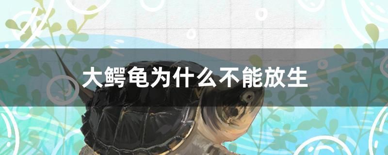 漢霸魚缸公司簡(jiǎn)介圖片（漢霸魚缸官網(wǎng)）