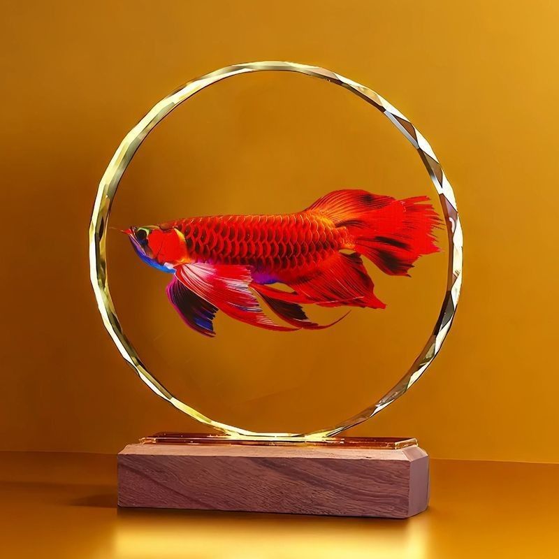 有哪些適合紅龍魚的裝飾物？（紅龍魚裝飾品牌推薦）