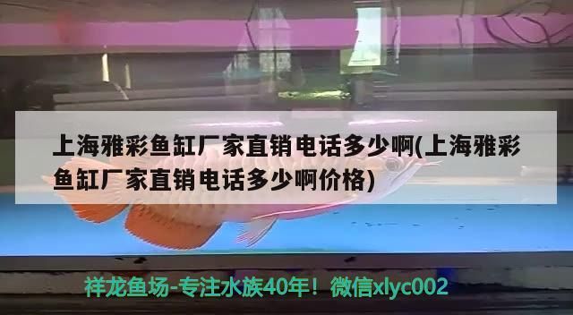 上海雅彩魚缸廠家直銷電話多少啊(上海雅彩魚缸廠家直銷電話多少啊價格)