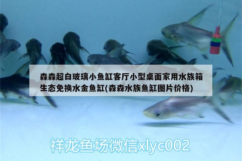 森森超白玻璃小魚缸客廳小型桌面家用水族箱生態免換水金魚缸(森森水族魚缸圖片價格)