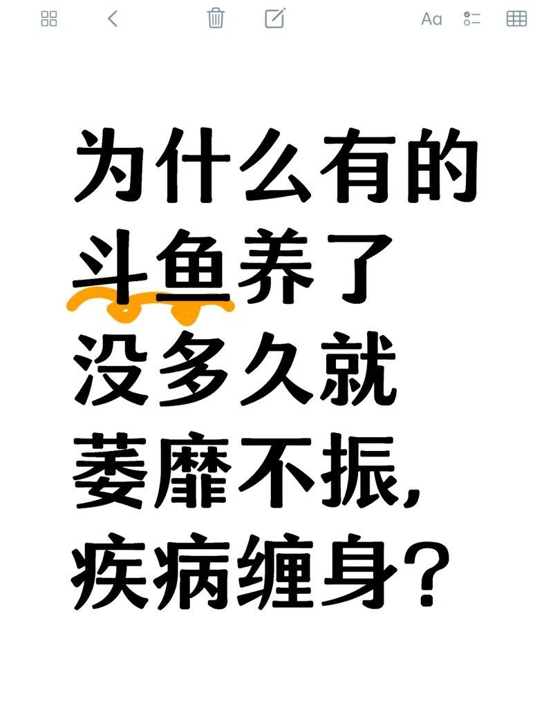 沉木釋放單寧酸對(duì)魚有害嗎？（寵物指南，魚缸水發(fā)黃怎么解決）