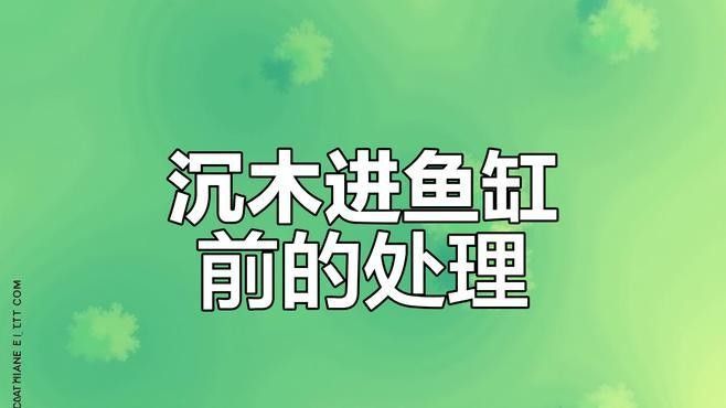沉木釋放單寧酸對(duì)魚有害嗎？（寵物指南，魚缸水發(fā)黃怎么解決）