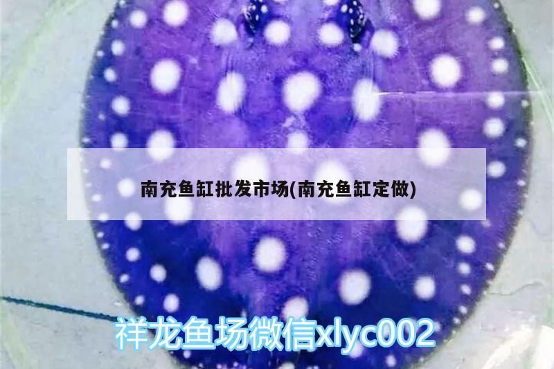 龍魚干蝦有營養嗎 南充魚缸批發市場(南充魚缸定做) 觀賞魚百科 南充魚缸批發市場(南充魚缸定做) 南充魚缸批發市場(南充魚缸定做) 觀賞魚百科