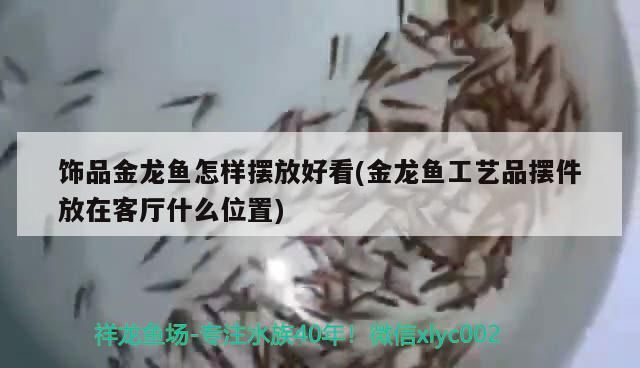 飾品金龍魚怎樣擺放好看(金龍魚工藝品擺件放在客廳什么位置)（金龍魚怎樣擺放好看）