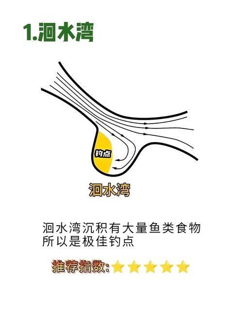 翹頭龍魚如何養護