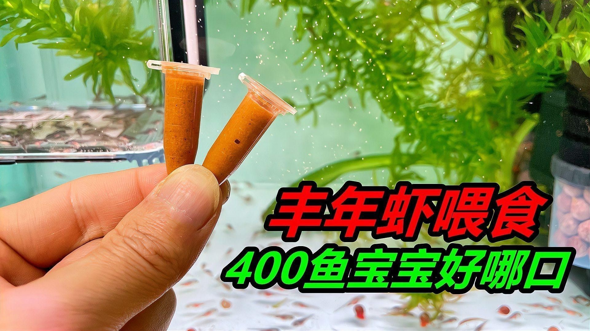 六角龍魚的食物有哪些？（六角龍魚的飼養技術）
