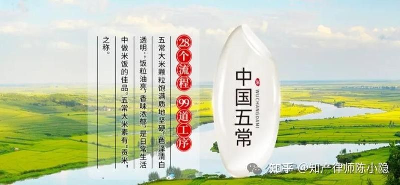 如何判斷金龍魚芯片的真偽（金龍魚芯片如何辨別真偽）