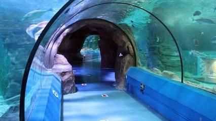 長春水族館：長春旅游攻略之長春水族館