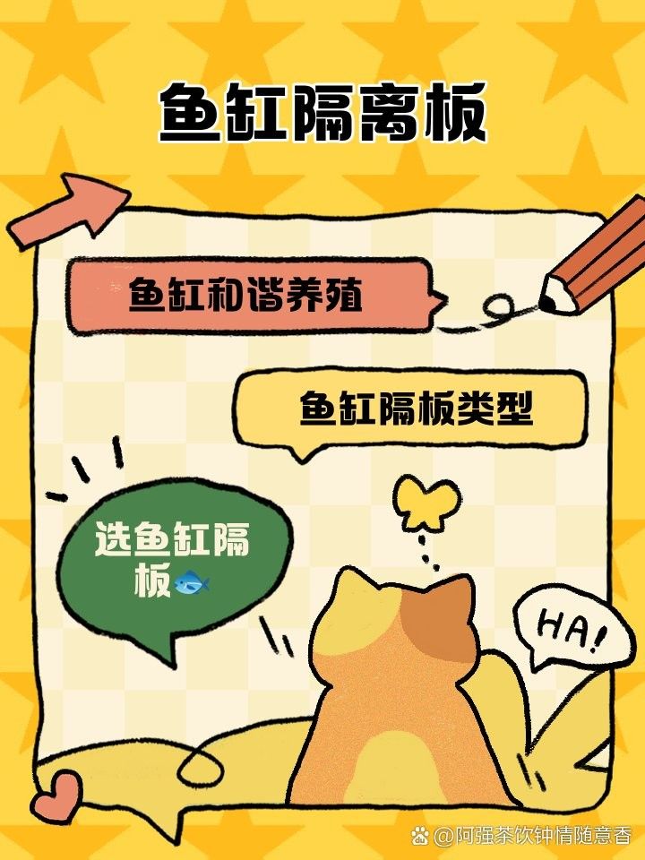 如何設置魚缸隔板以避免攻擊（如何設置魚缸隔板）