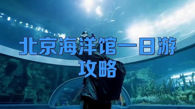 道里區還有哪些水族館（哈爾濱市道里區有哪些水族館？）