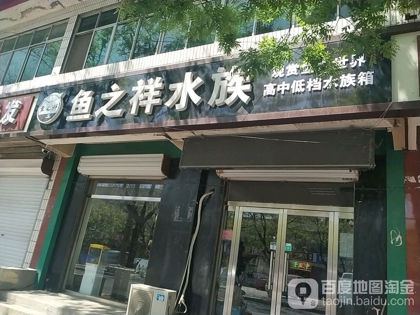 寶坻哪個水族館龍魚好？祥龍魚場龍魚（天<strong><mark>津市</mark></strong>寶坻區“祥龍魚場”）