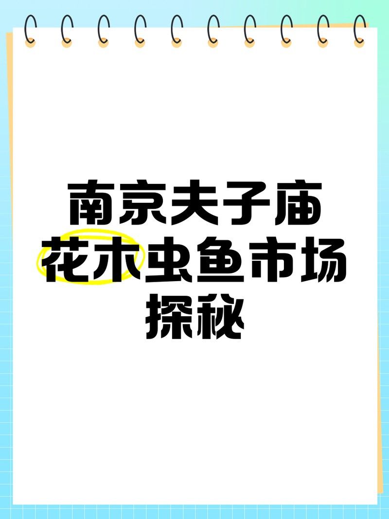 成年過背金龍的價格是多少，成年過背金龍魚的價格是多少 成年過背金龍的價格是多少，成年過背金龍魚的價格是多少 龍魚百科 第2張