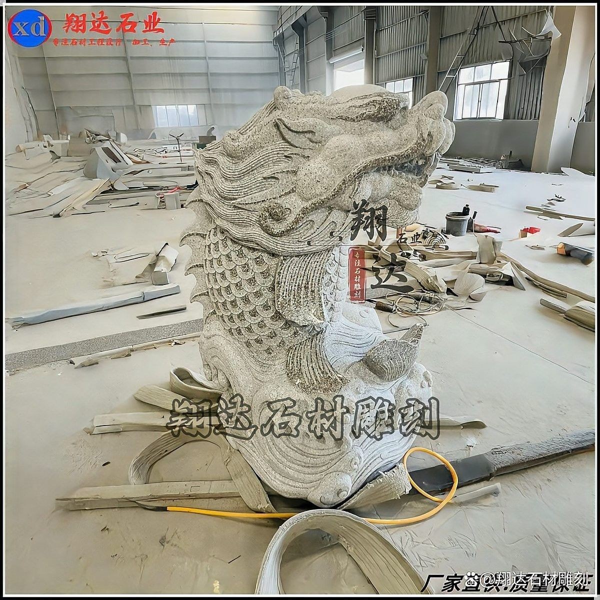 開封龍魚事件是否涉及違法（20-30公分龍魚飼養(yǎng)技巧與注意事項(xiàng)與注意事項(xiàng)）