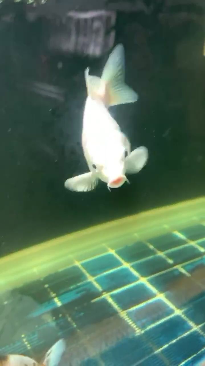 都餓了（我不懂在學習中，謝謝了）