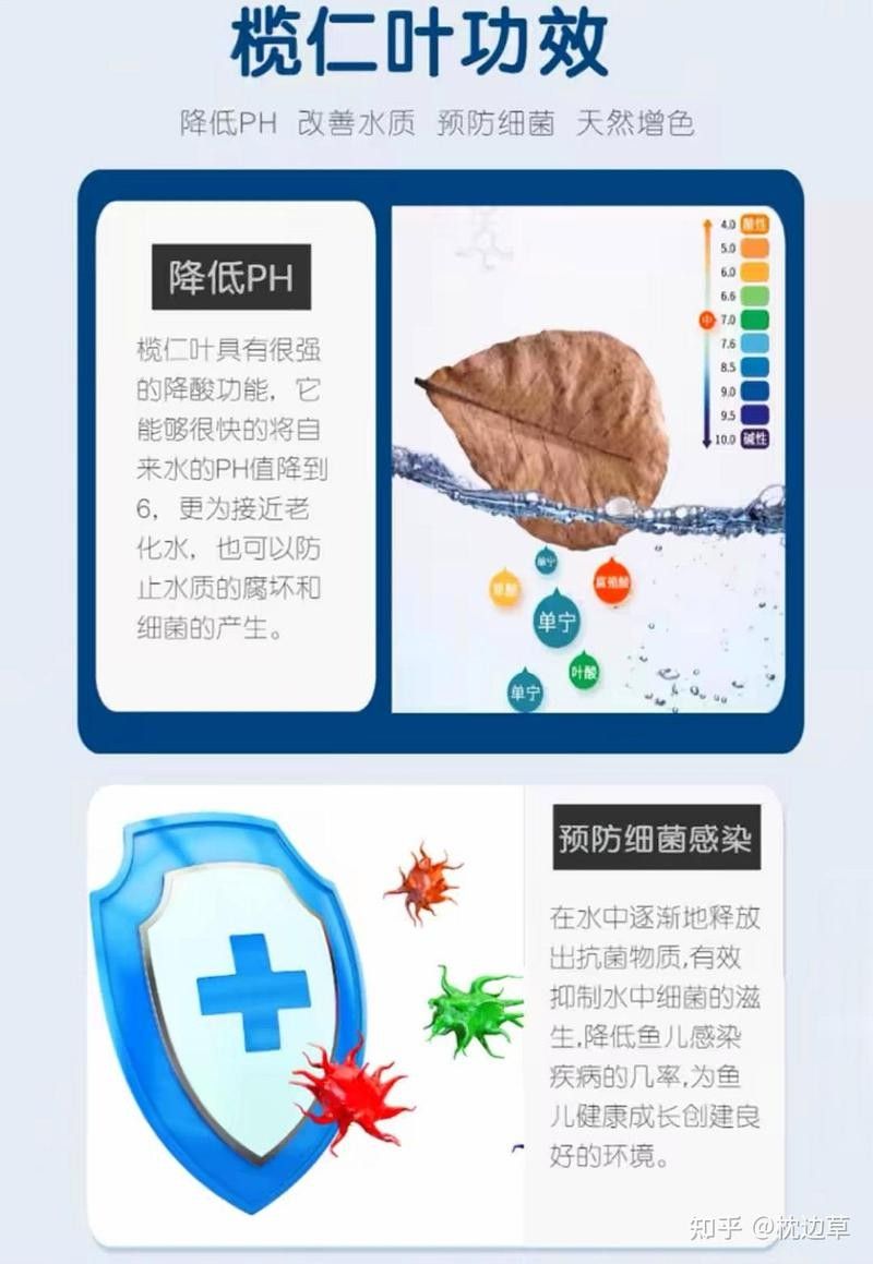 如何設(shè)置古典金龍魚缸的pH值？（古典金龍魚缸ph值是確保水族箱內(nèi)水質(zhì)健康的關(guān)鍵步驟）
