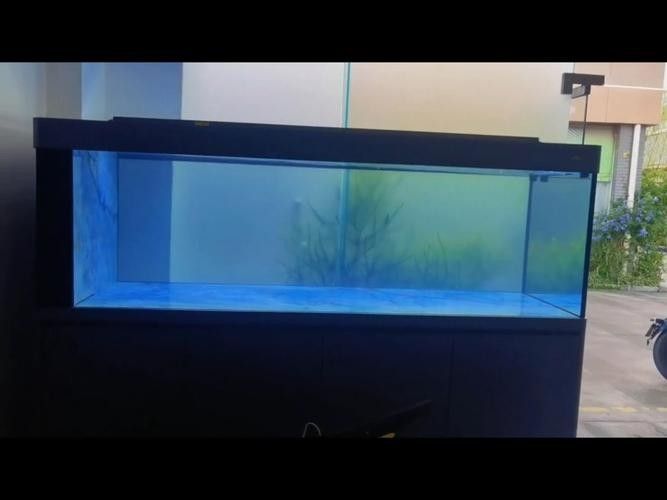 6700K和13000K哪個更適合養魚？（6700k和13000k哪個更適合養魚）