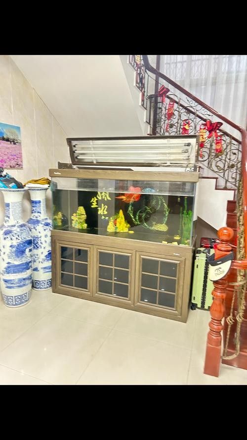 6700K和13000K哪個更適合養魚？（6700k和13000k哪個更適合養魚）