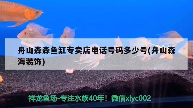 舟山森森魚缸專賣店電話號碼多少號(舟山森海裝飾)（森森魚缸專賣店）