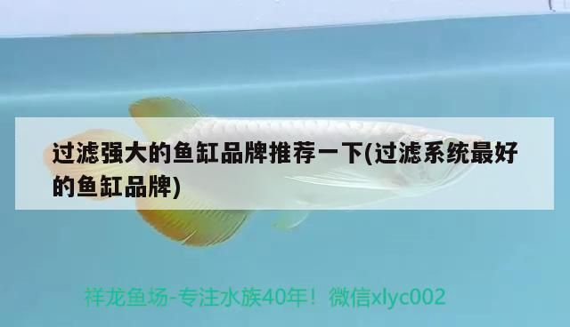 過濾強大的魚缸品牌推薦一下(過濾系統最好的魚缸品牌)（什么品牌子的魚缸好？）