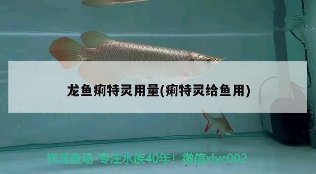 龍魚痢特靈用量(痢特靈給魚用)（觀賞魚常見(jiàn)疾病治療觀賞魚常見(jiàn)疾病治療方法與治療方法）