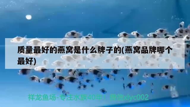 我也來曬曬獻丑啦（我也來曬曬獻丑啦,本文旨在探討個人在公共場合展示自己時可能遇到的尷尬情況及其應對策略）