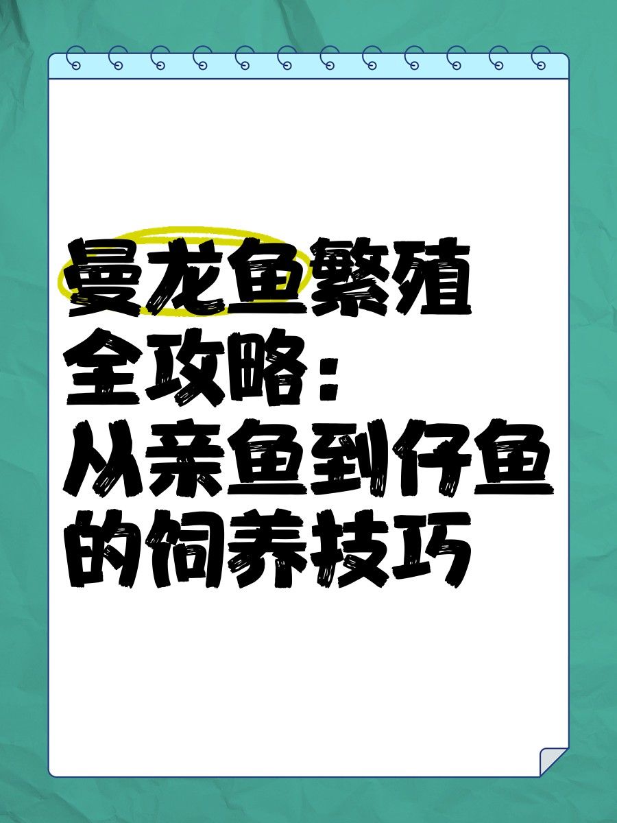 曼龍魚繁殖周期是多久？（曼龍魚怎么繁殖）