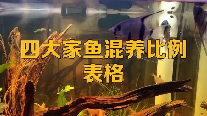 混養(yǎng)時(shí)需要喂什么飼料？（養(yǎng)動(dòng)物飼料的選擇）