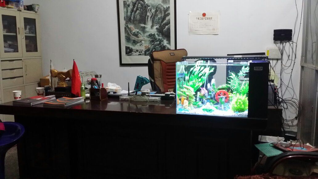 鷹潭龍魚批發(fā)市場(chǎng)（鷹潭龍魚批發(fā)市場(chǎng)在哪里）