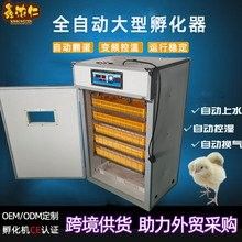 人工干預(yù)孵化需要哪些設(shè)備？（人工干預(yù)孵化所需設(shè)備） 人工干預(yù)孵化需要哪些設(shè)備？（人工干預(yù)孵化所需設(shè)備） 龍魚百科 第4張