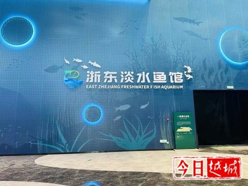 越城哪個水族館龍魚好？祥龍魚場龍魚（廣州龍魚祥龍魚場今日開放，紹興人的水族館即將亮相）