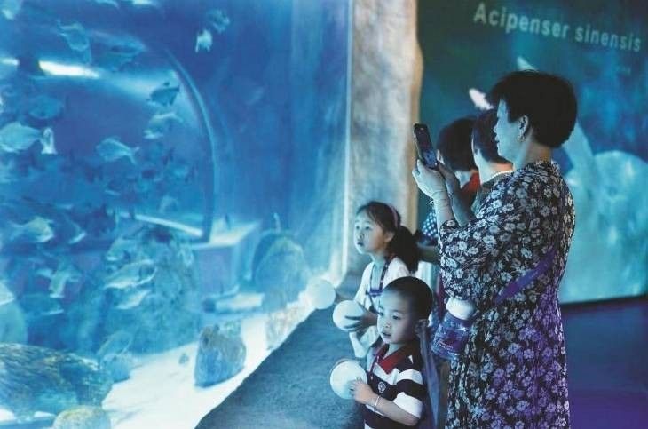 越城哪個水族館龍魚好？祥龍魚場龍魚（廣州龍魚祥龍魚場今日開放，紹興人的水族館即將亮相）