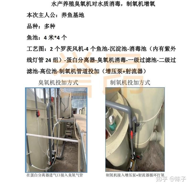 有哪些消毒劑適合用于龍魚飼養環境？（魚缸消毒殺菌用什么藥最好魚缸消毒殺菌用什么藥最好）