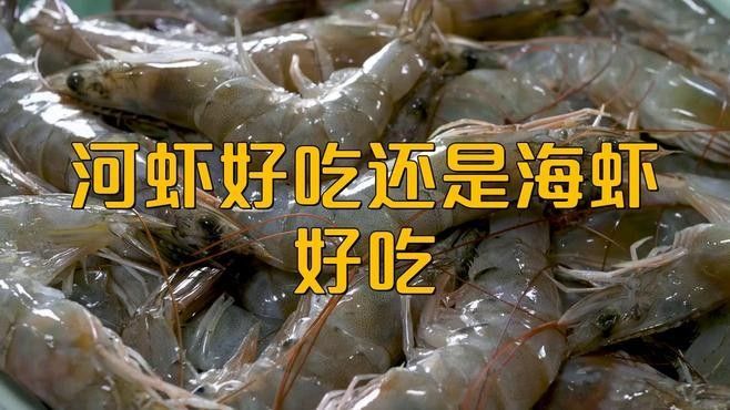 如何區分河蝦和海蝦？