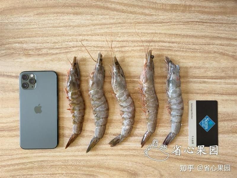 如何區分河蝦和海蝦？