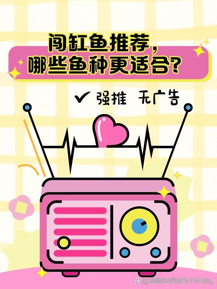 闖缸魚選擇什么品種好