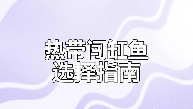 闖缸魚選擇什么品種好