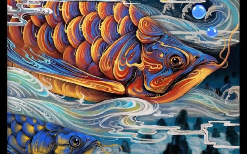 有沒有金龍魚照片處理模板？