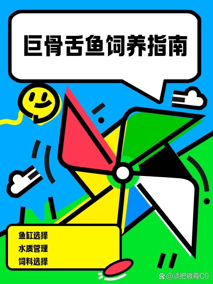金龍魚和巨骨舌魚哪個更難飼養？（巨骨舌魚和龍魚的區別）