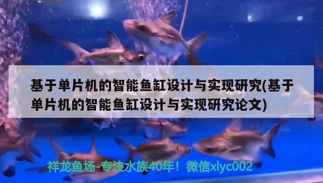 基于單片機的智能魚缸設計與實現研究(基于單片機的智能魚缸設計與實現研究論文)