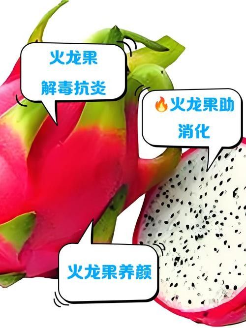如何判斷火龍果的質(zhì)量（別再瞎買火龍果了老果農(nóng)的5個挑選訣竅）