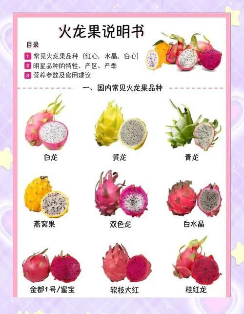 如何判斷火龍果的質(zhì)量（別再瞎買火龍果了老果農(nóng)的5個挑選訣竅）