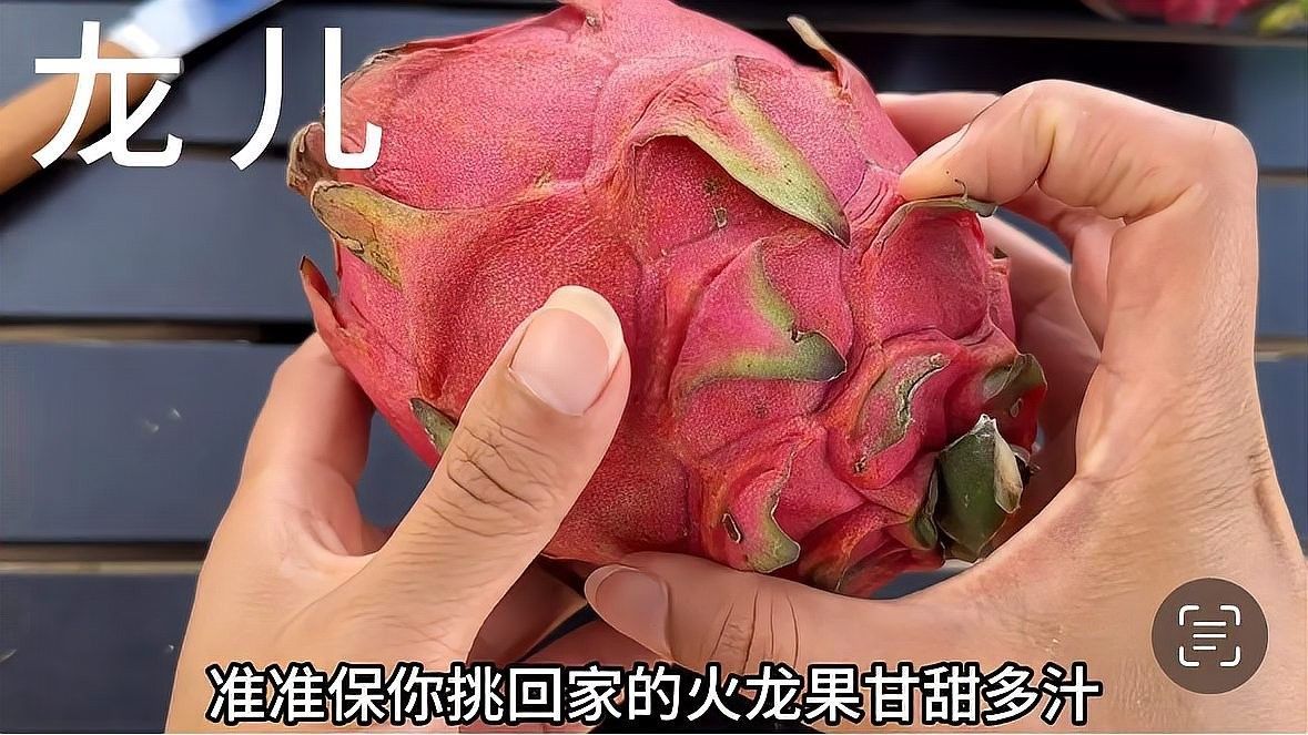 如何判斷火龍果的質(zhì)量（別再瞎買火龍果了老果農(nóng)的5個挑選訣竅）